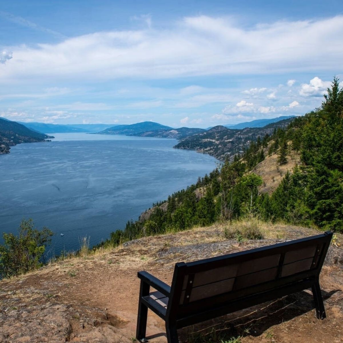 Okanagan Valley Mobile Notary