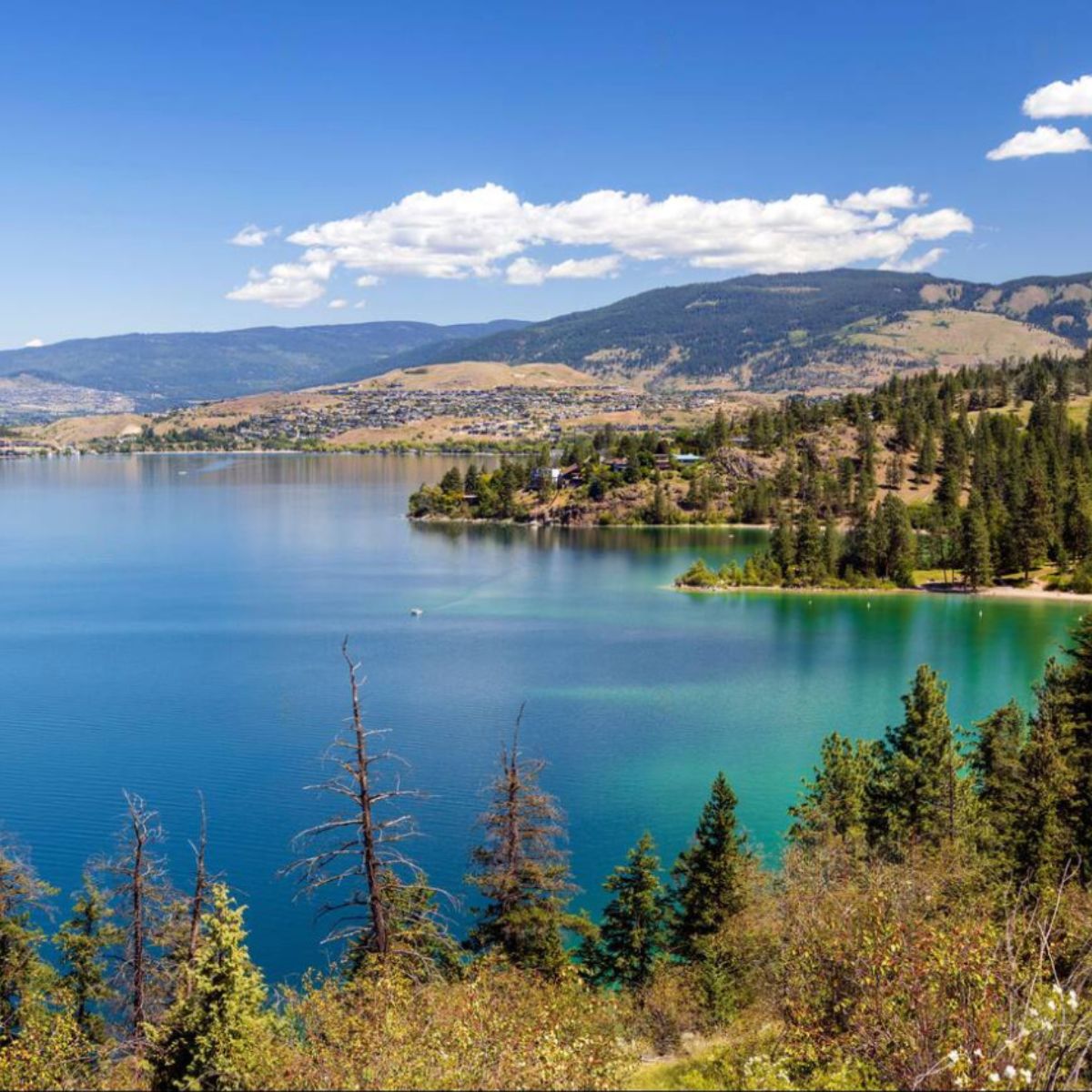 Okanagan Valley Mobile Notary